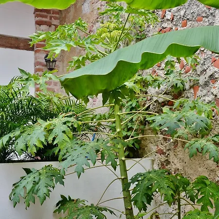 Hotel Casa Be Getsemani